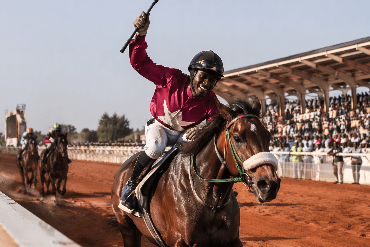 Kaduna hosts West African horse racing derby finale, Tinubu backs revival