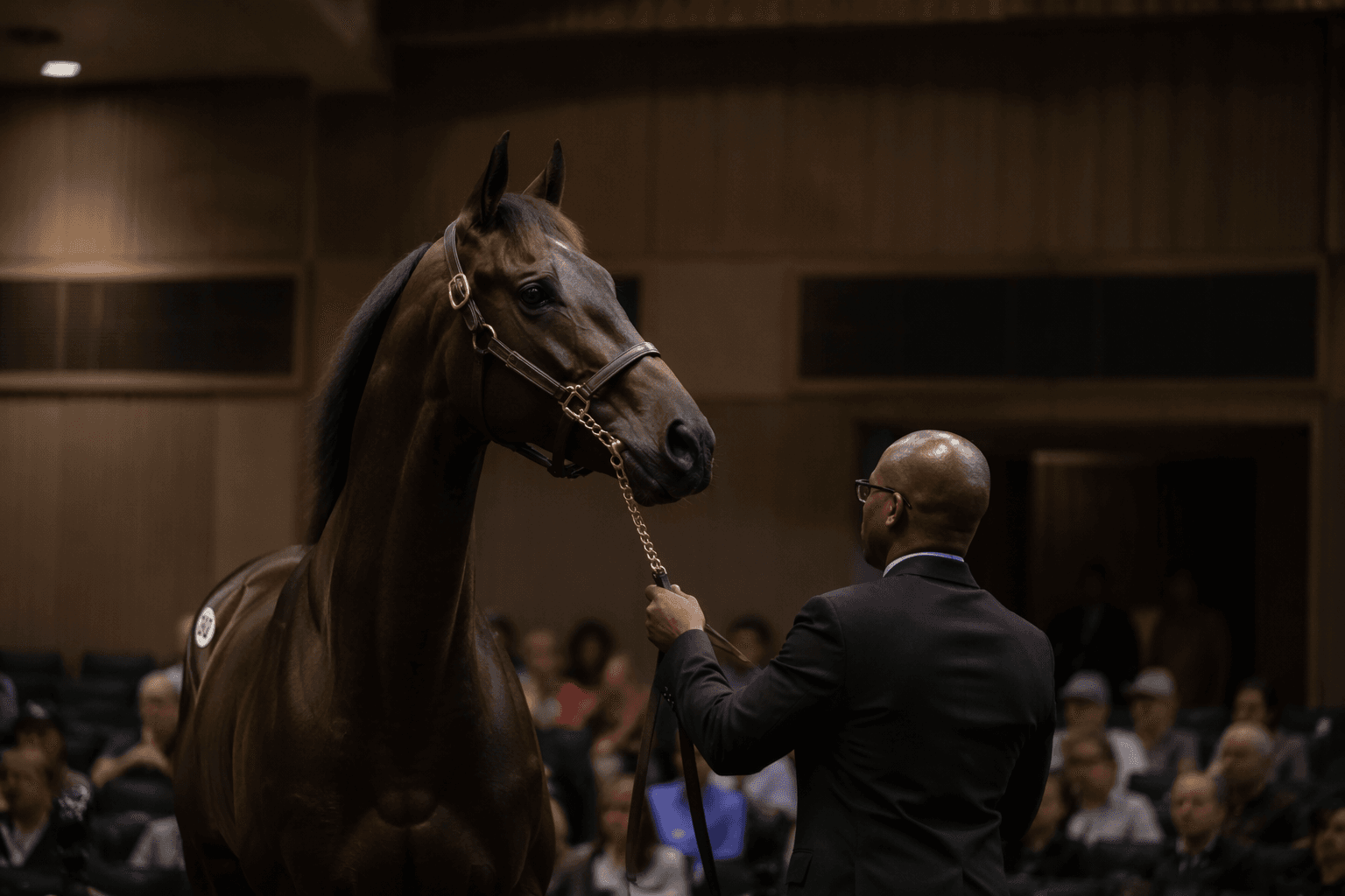 Mage and Arcangelo offspring draw early buzz at Lexington July Sale