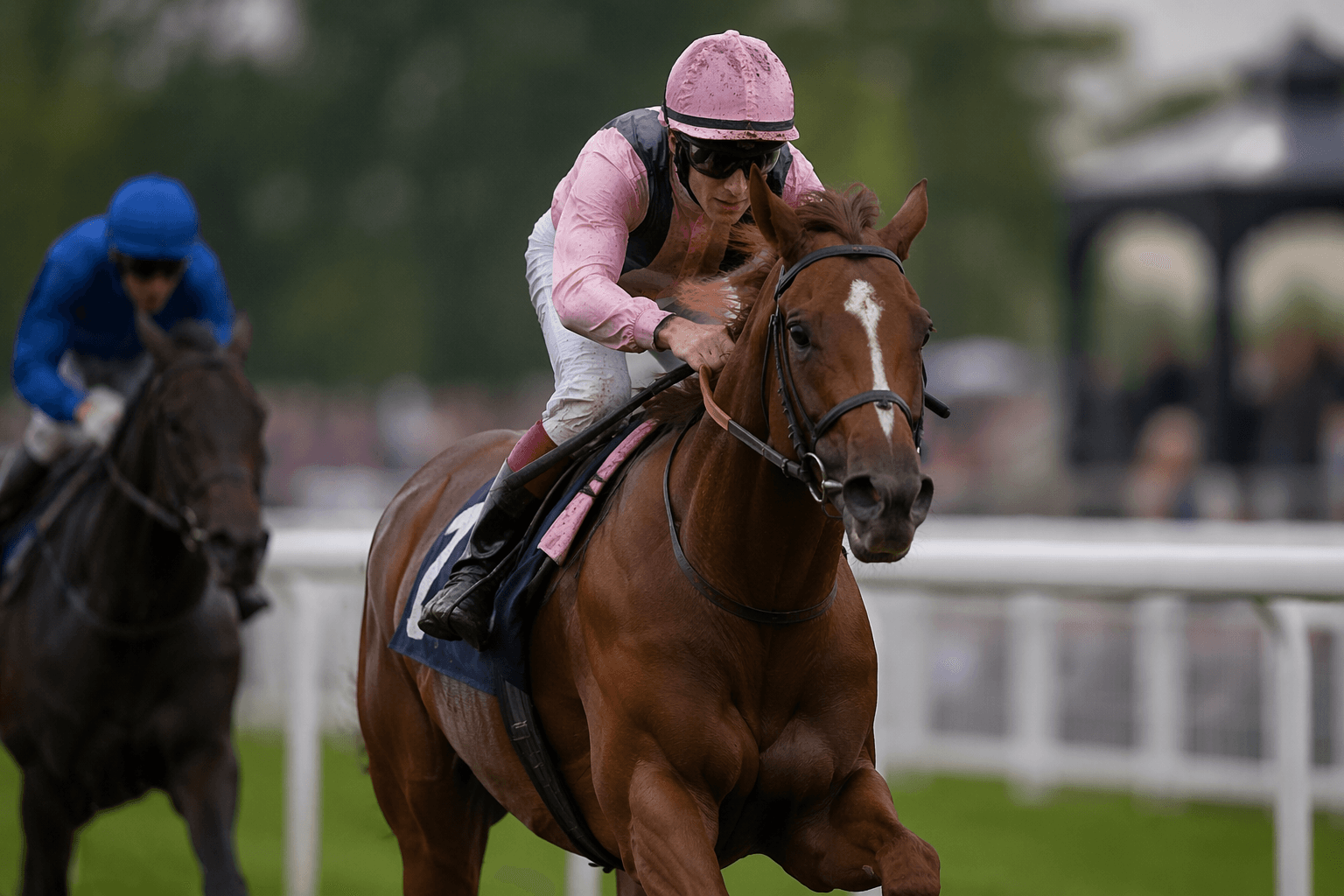 Haffner defies pedigree doubts with Newmarket maiden win for Justify