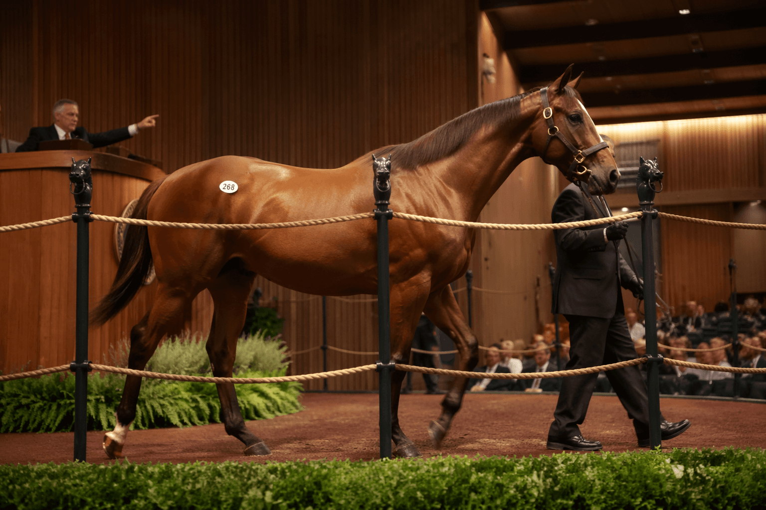 Our Moneyman sells for $2 million, sets Fasig-Tipton record