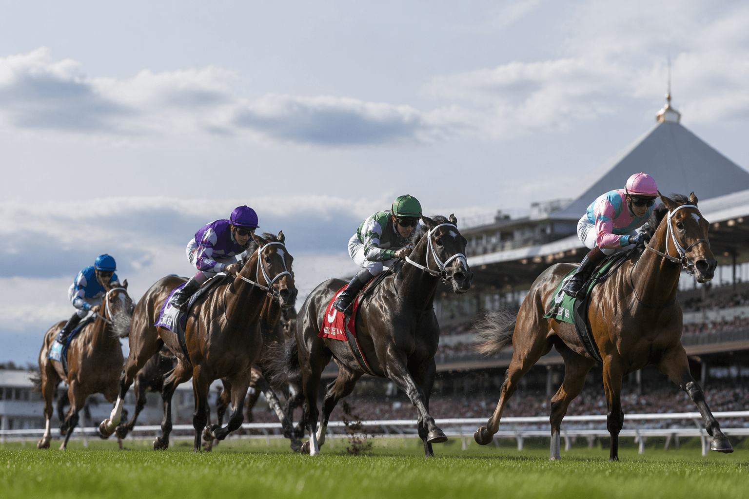Chad Brown seeks 11th Diana Stakes win with four runners