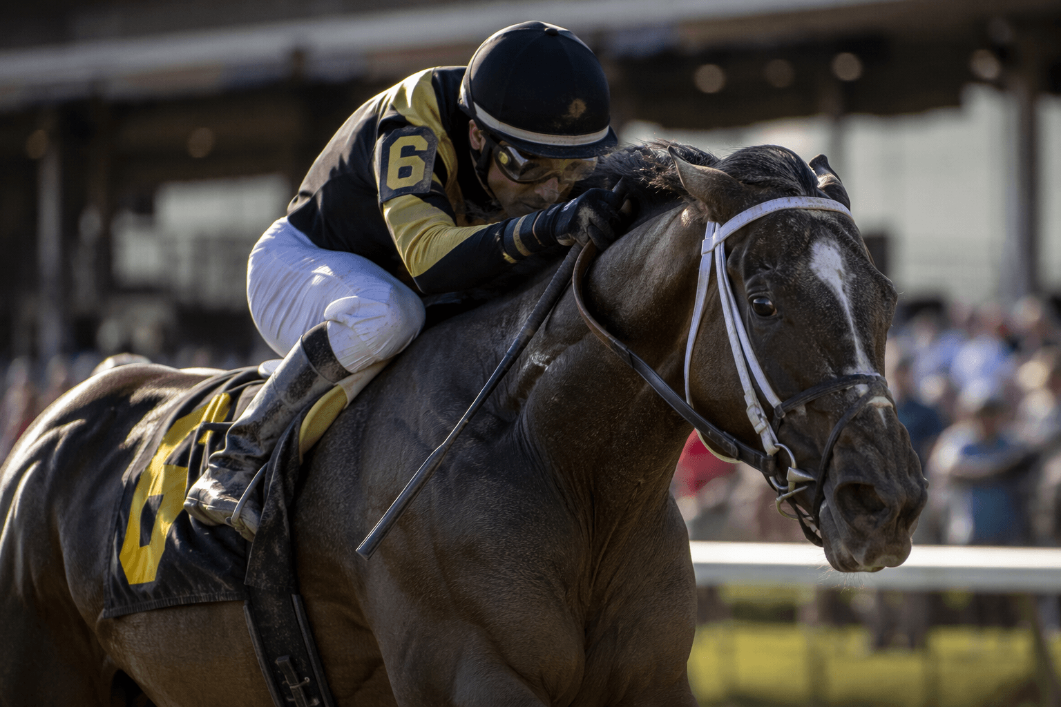 Book Value gives Mandaloun first stakes winner in Hoover Stakes victory