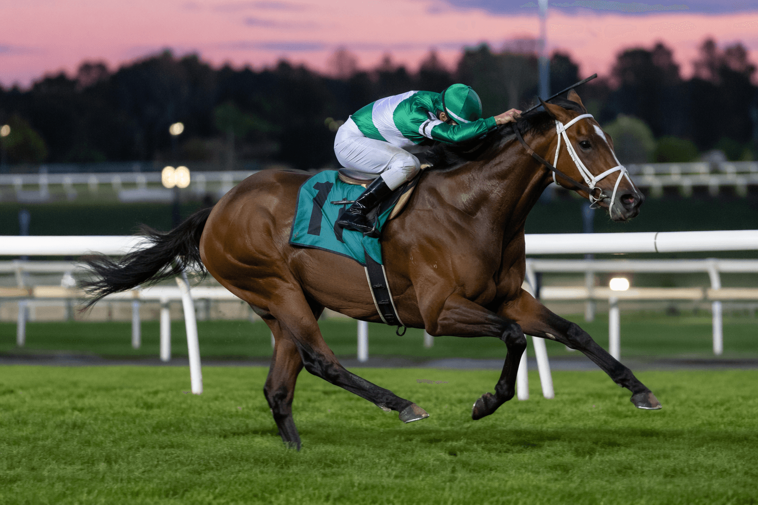 Vina Arana wins Nassau Stakes at Woodbine for Grade 2 turf victory