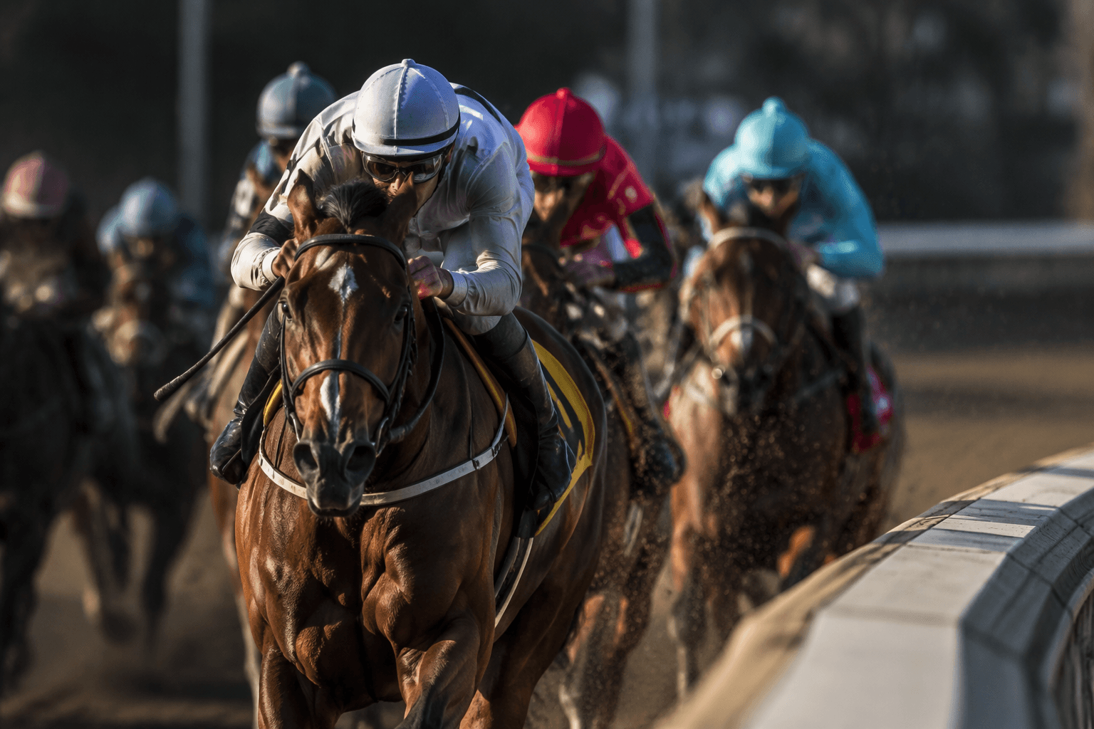 How condition books shape race opportunities in horse racing