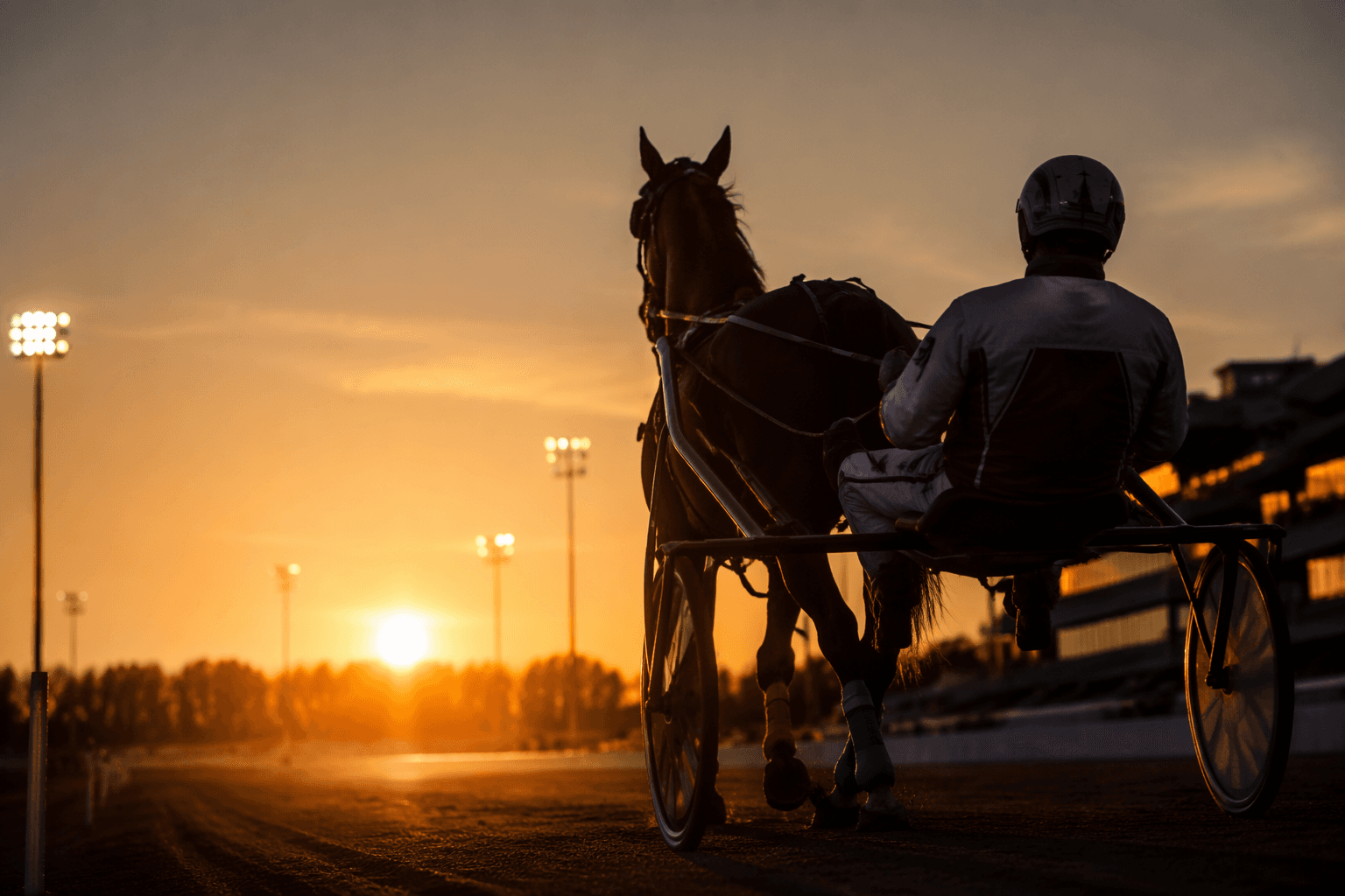 Harness racing explained: pacers, trotters and the sulky's role