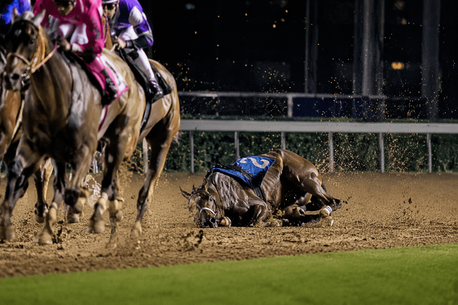 Cornucopian hospitalized after Bing Crosby Stakes injury at Del Mar