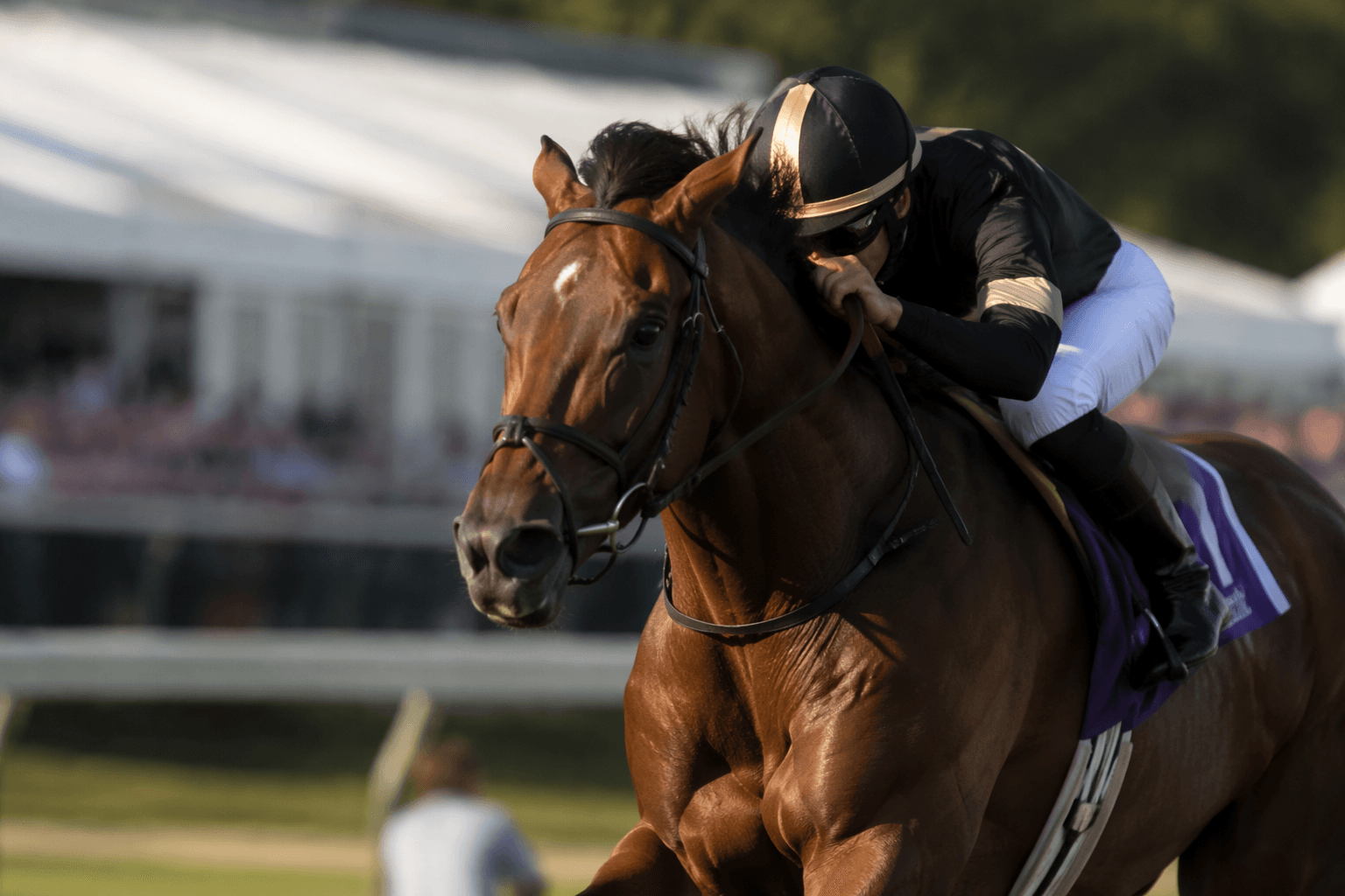 Book'em Danno eyes Breeders' Cup Sprint in Mr. Prospector test