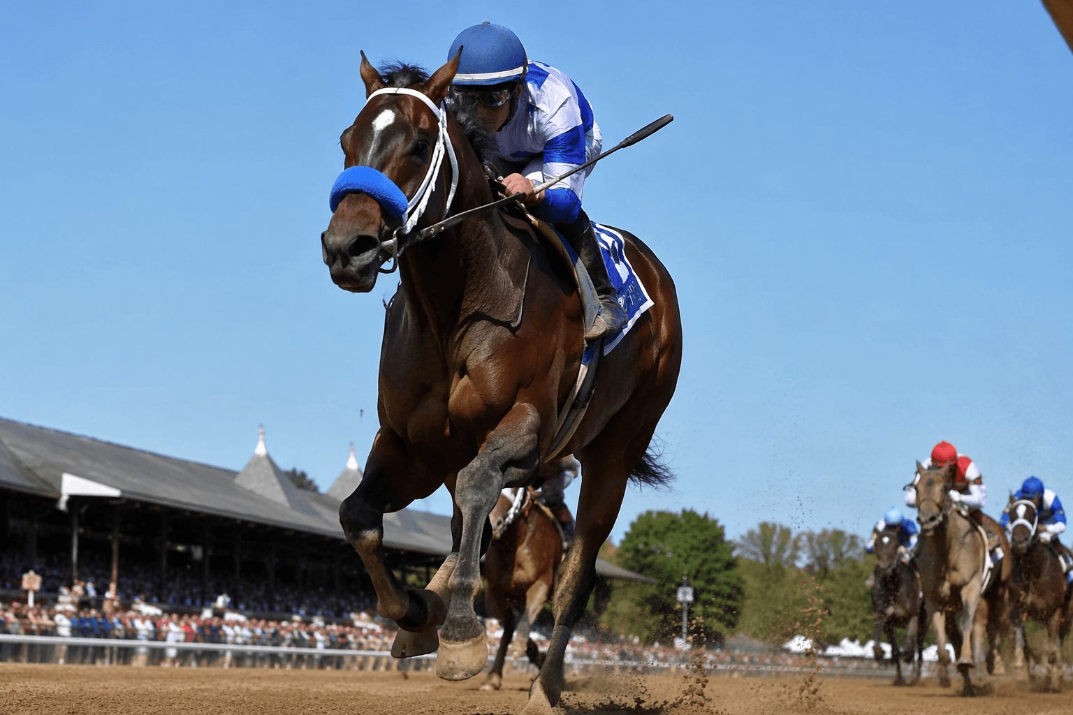 Rattle N Roll retires, heads to Saudi Arabia for stallion career