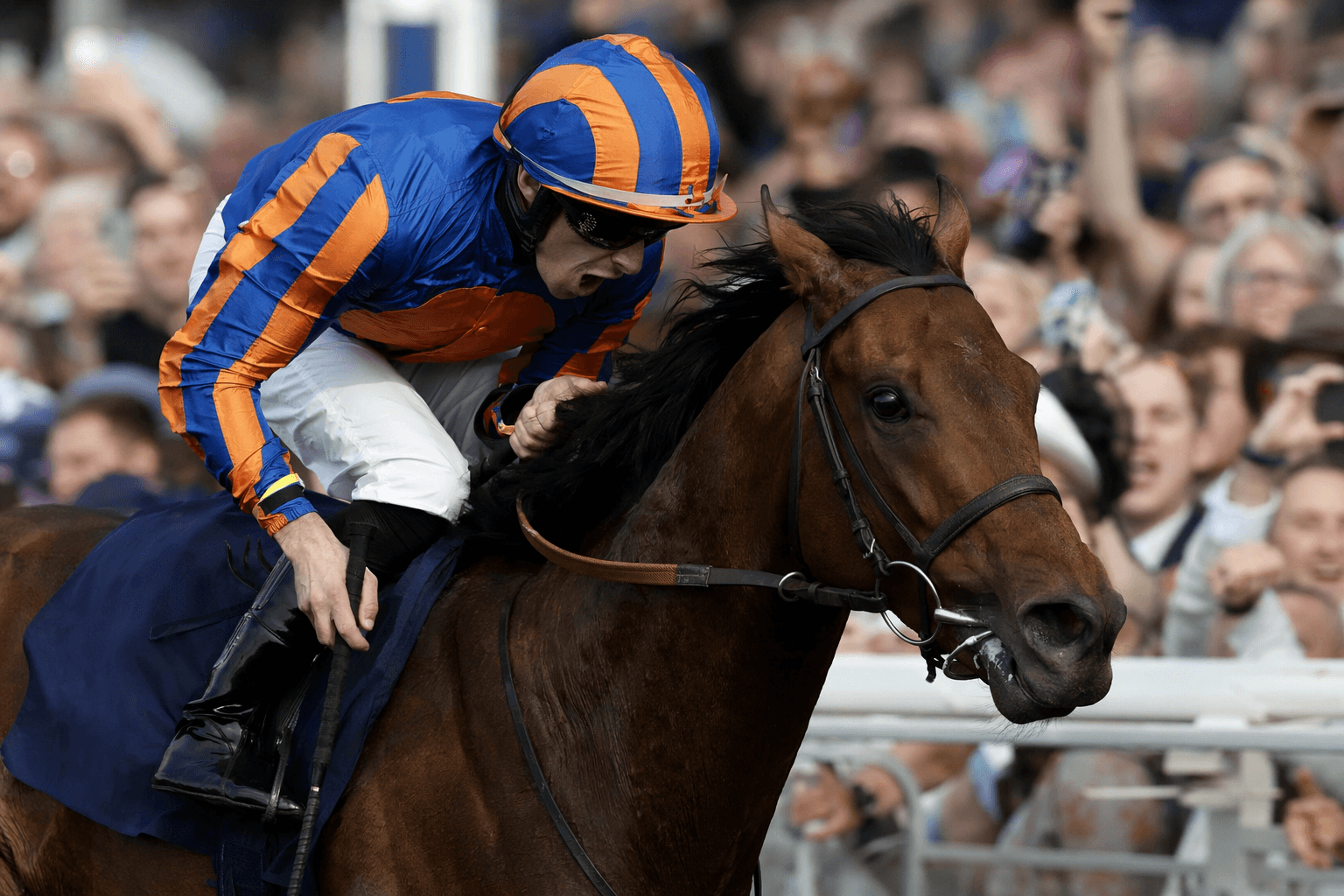 Ancient Egypt stuns Newmarket Stakes, eyes Epsom and longer trip