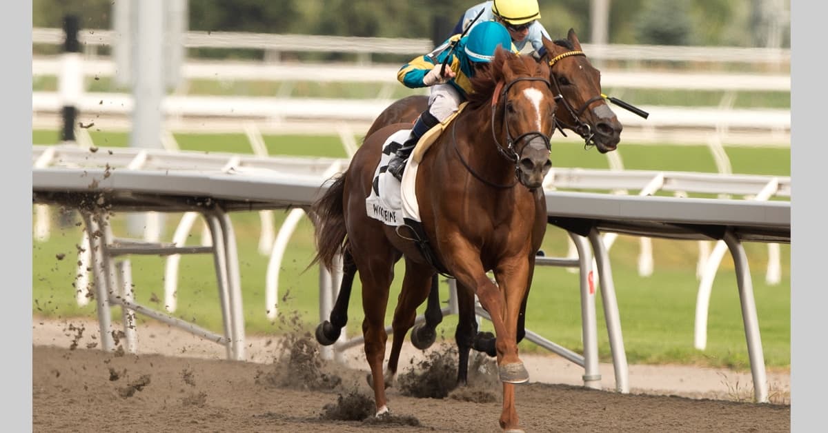 Creed’s Gold defends Hendrie Stakes title at Woodbine