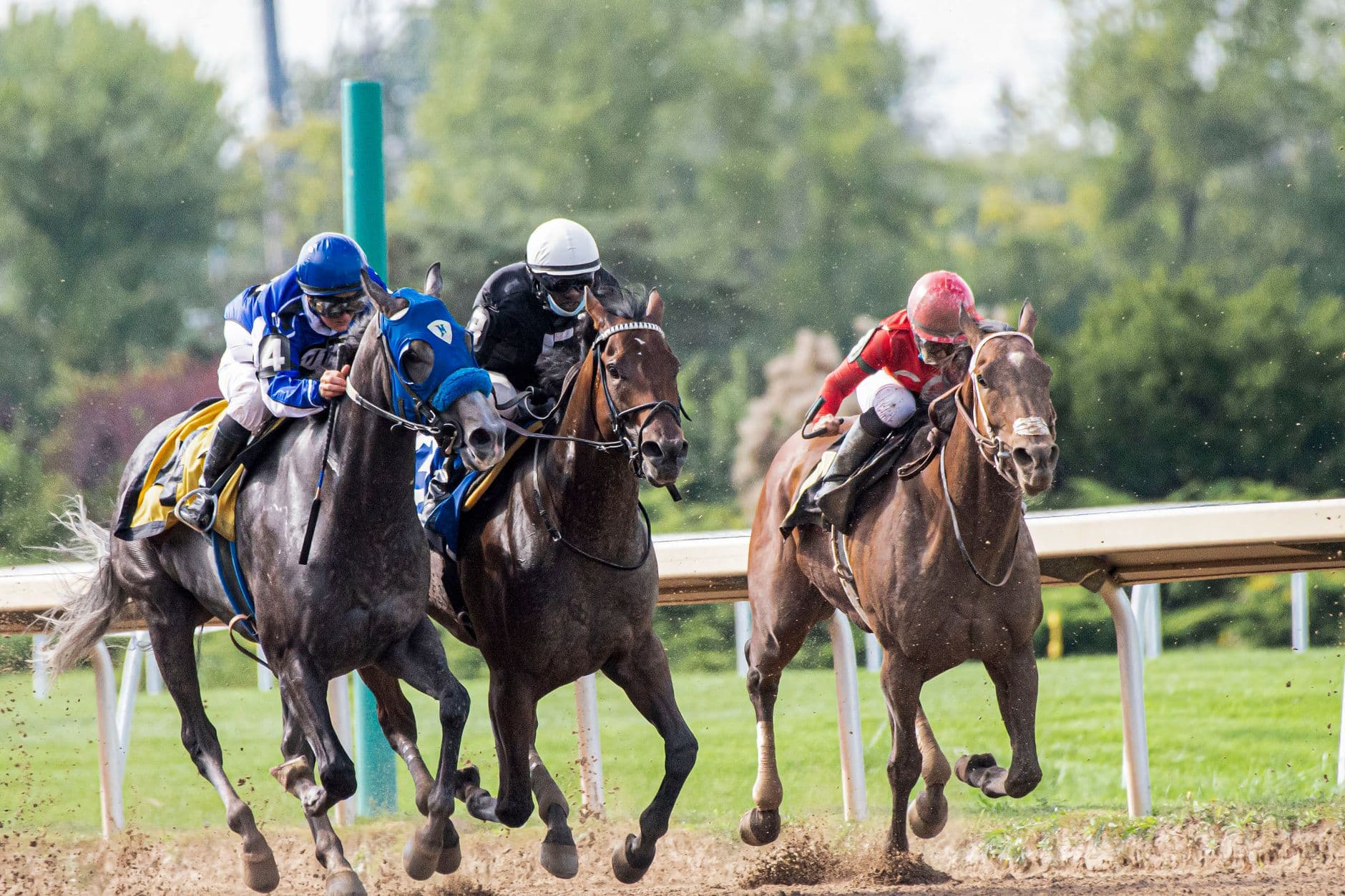 Royal Heritage impresses on debut, enters Coventry Stakes picture
