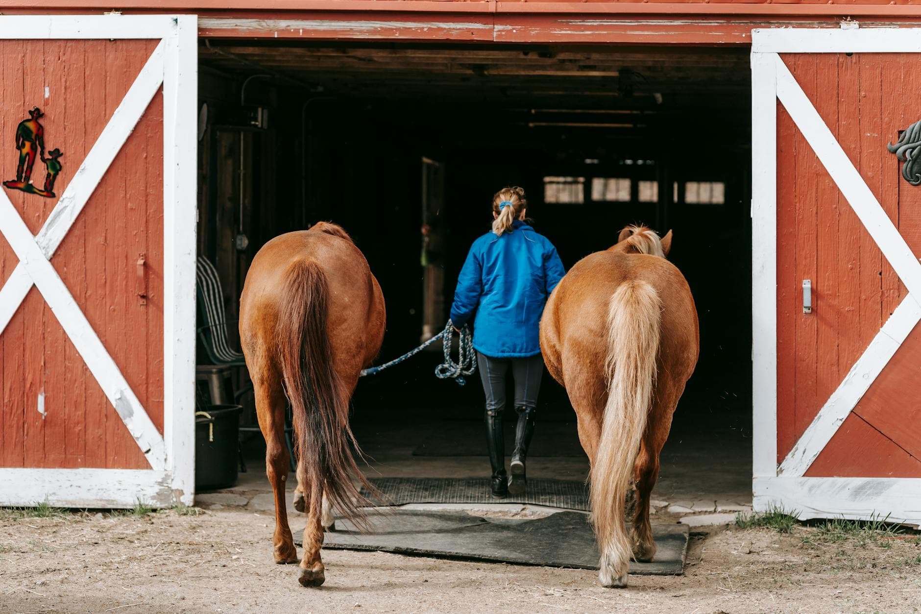 Mike Repole teases barn-side Derby update, vows candid racing address
