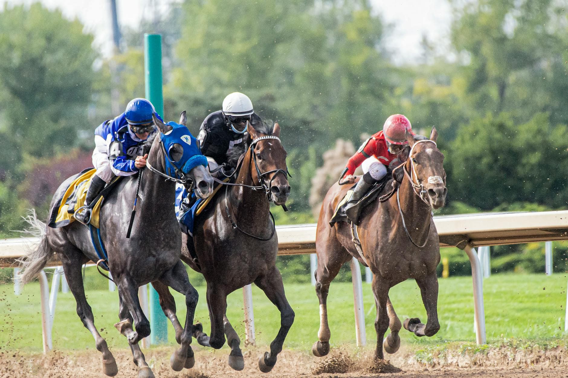 My Boy Prince aims for third straight win in Turf Sprint rematch
