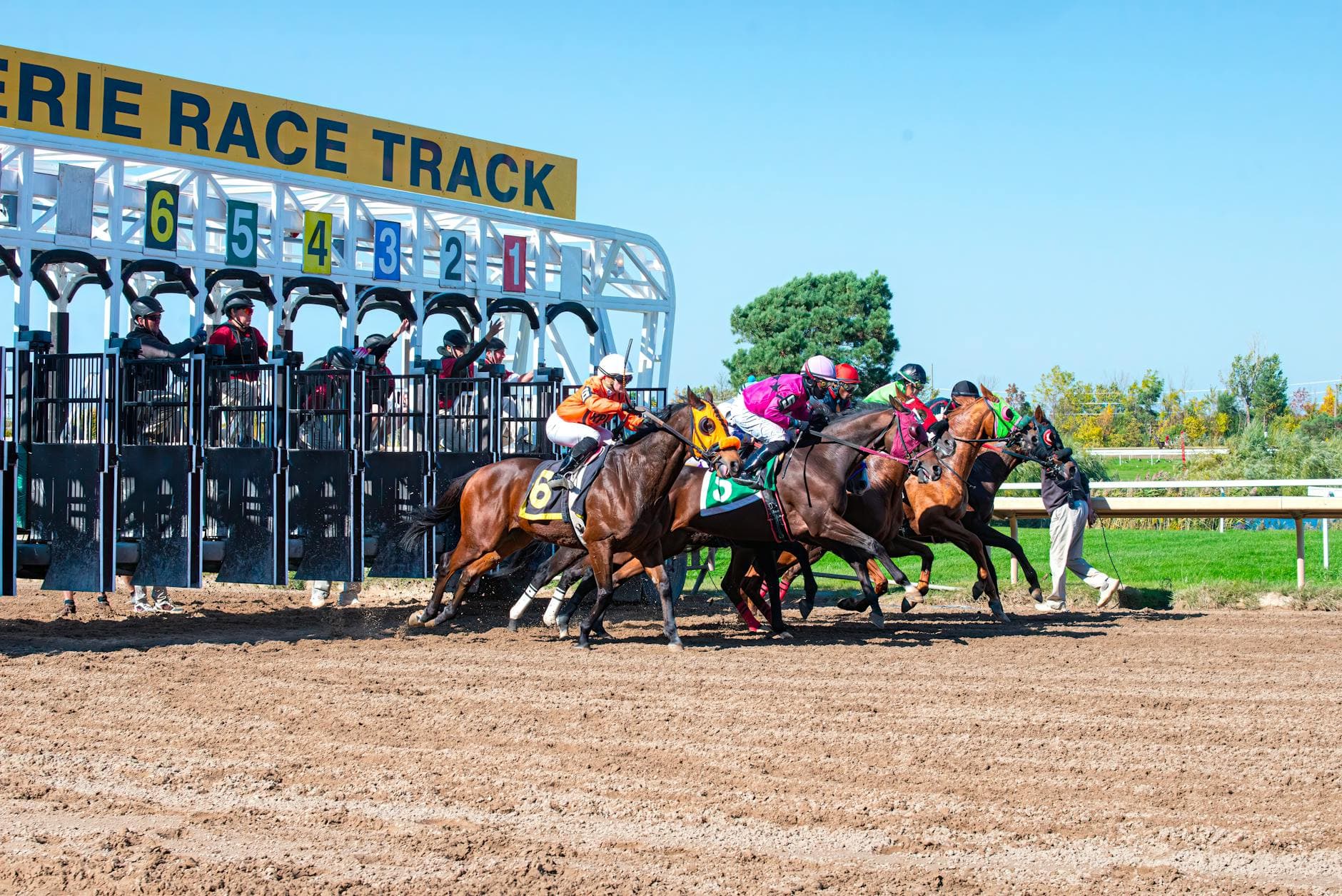 National Thoroughbred League Opens 2026 Season at Laurel Park with Lamar Jackson Appearance