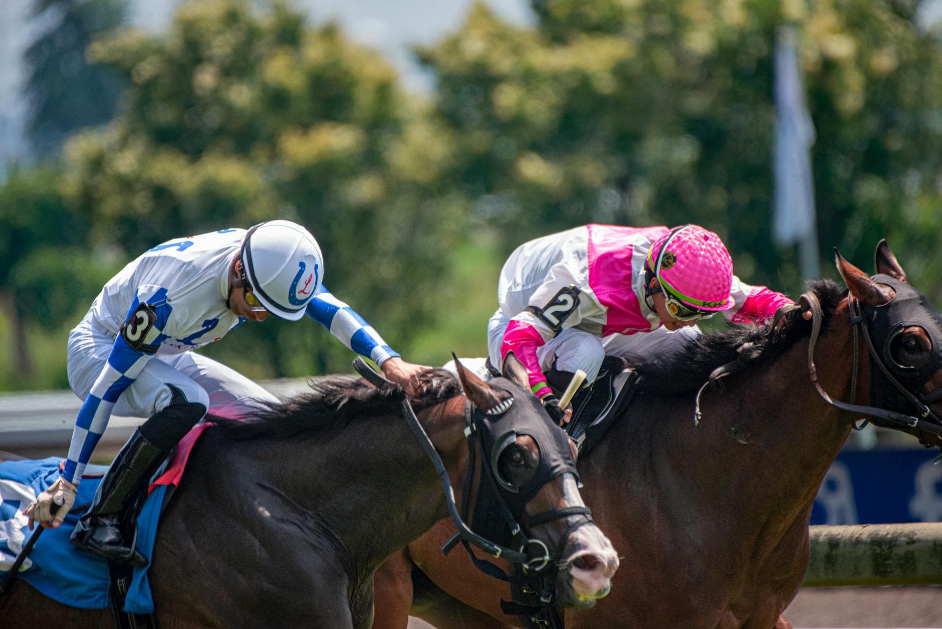 Horse racing’s equal ground, women still chase breakthrough wins