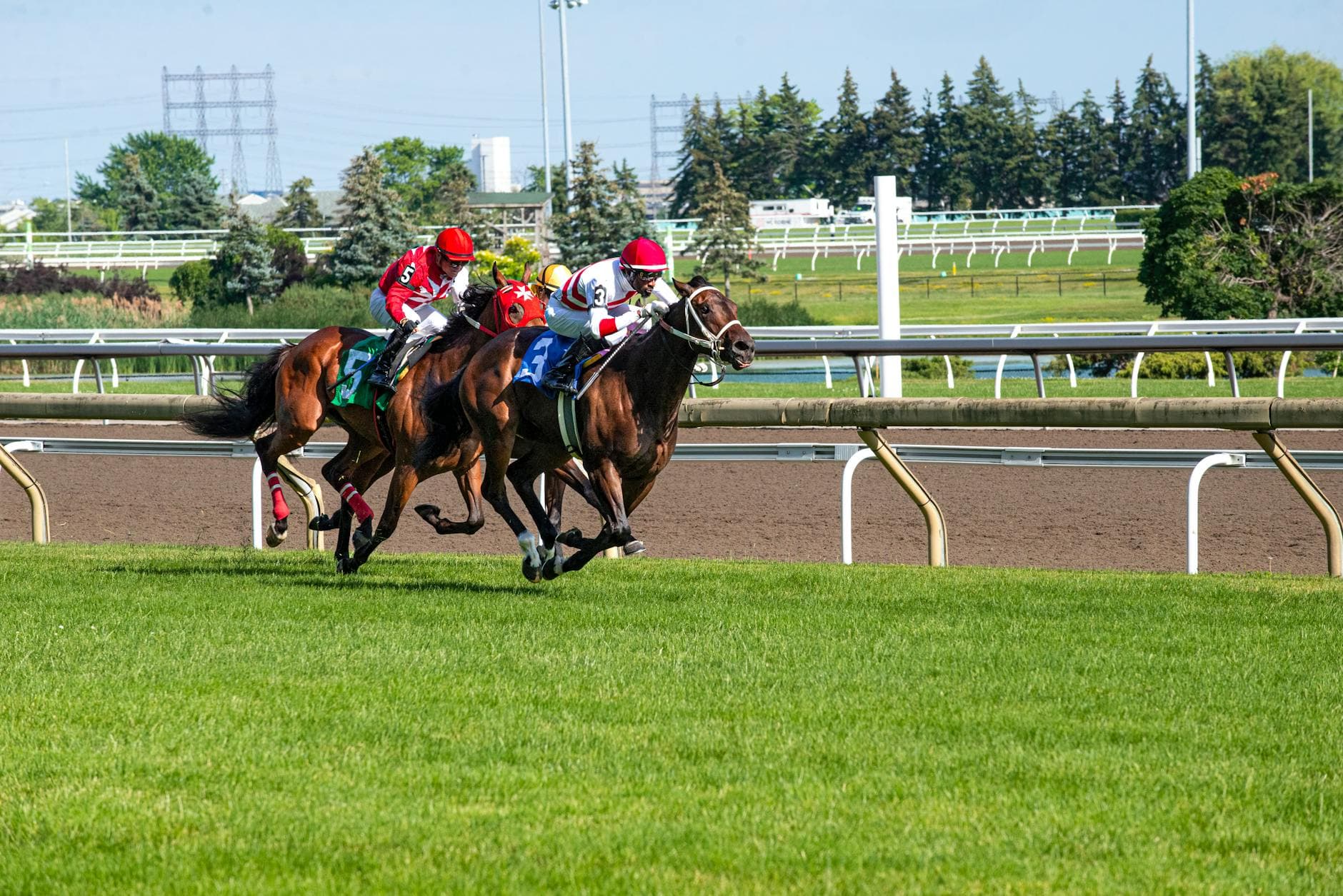 Midnight Horizon set for U.S. debut in Santa Anita turf sprint