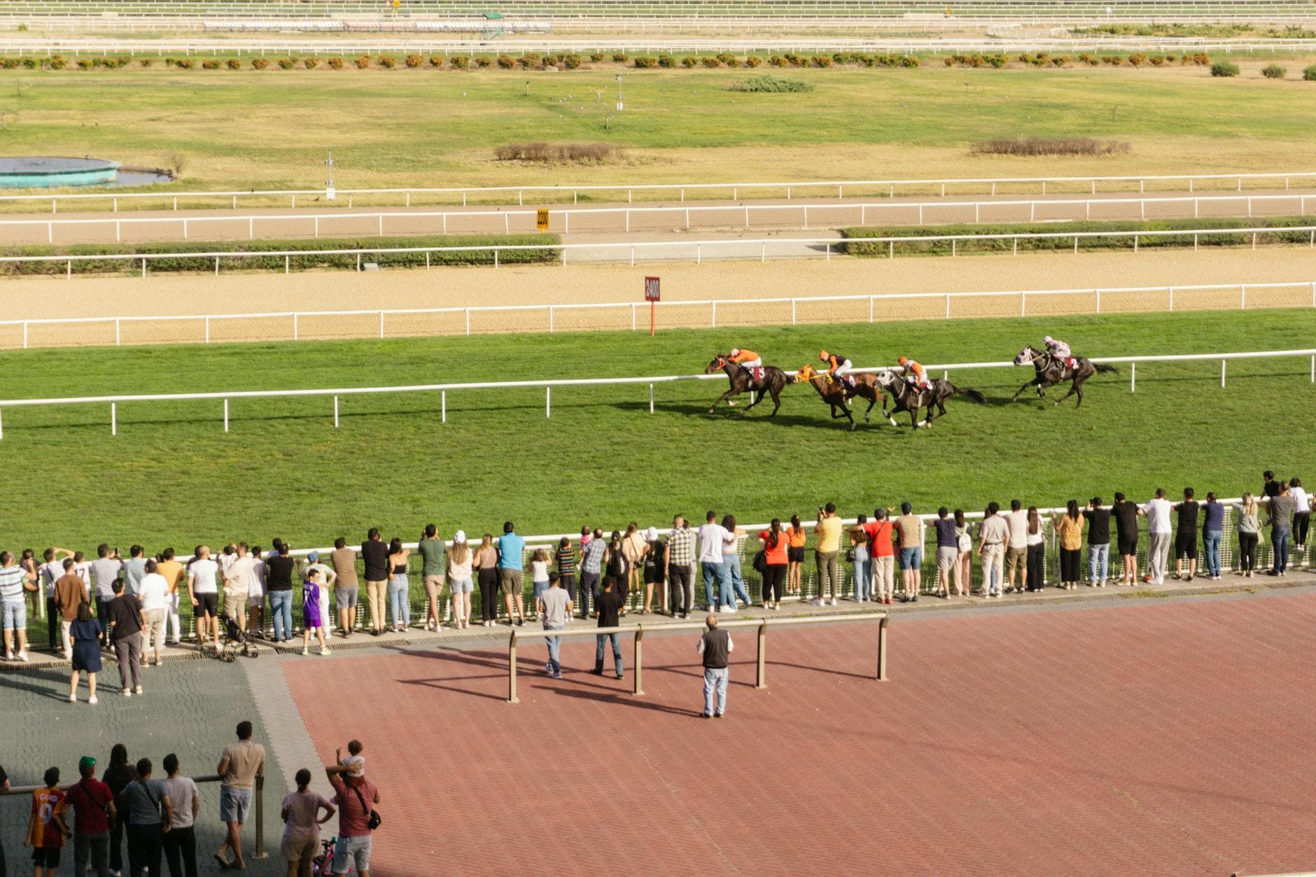 Illegal gambling taskforce faces soaring black market in racing betting