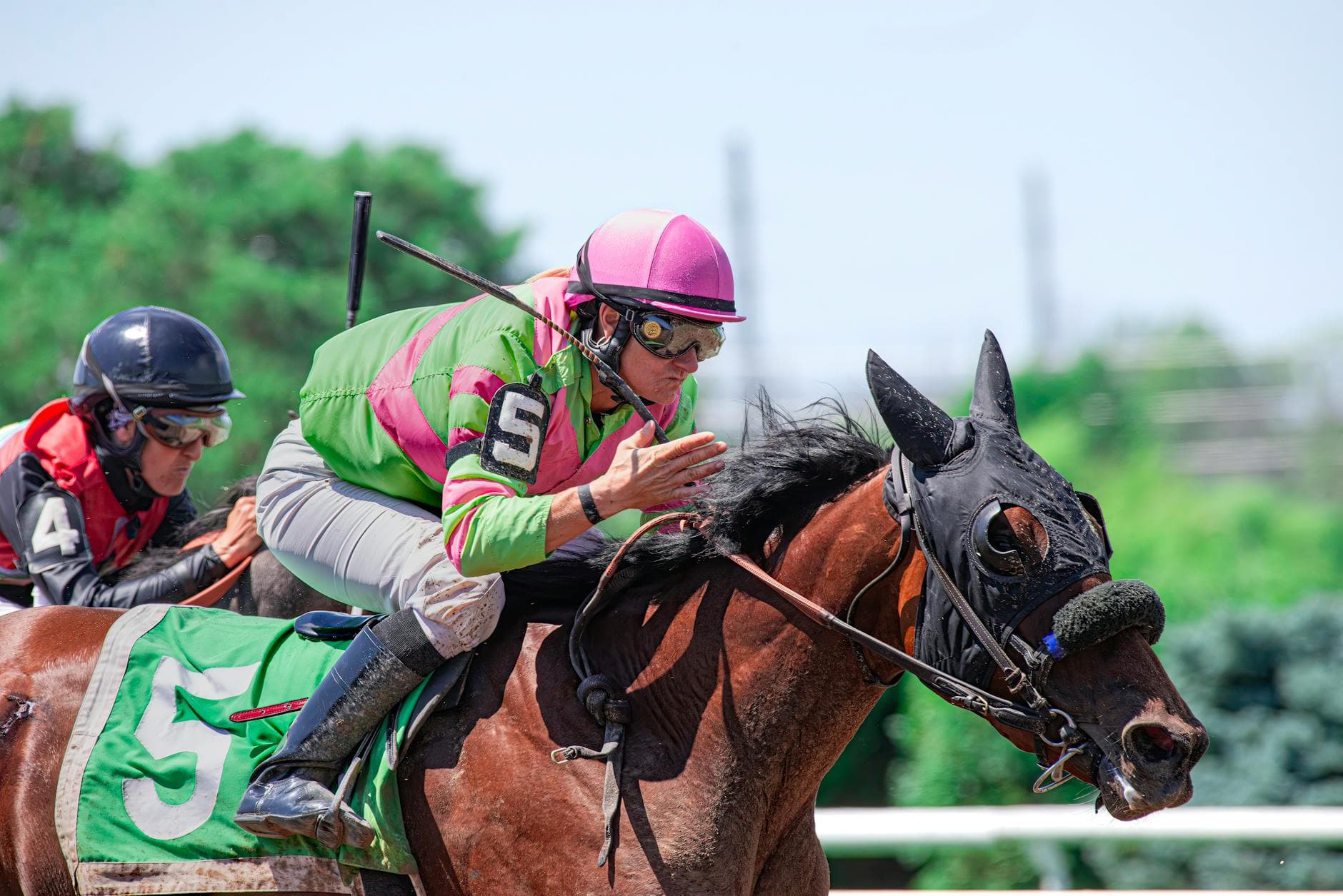 Museum to open Livingston and Munnings exhibits at Belmont festival