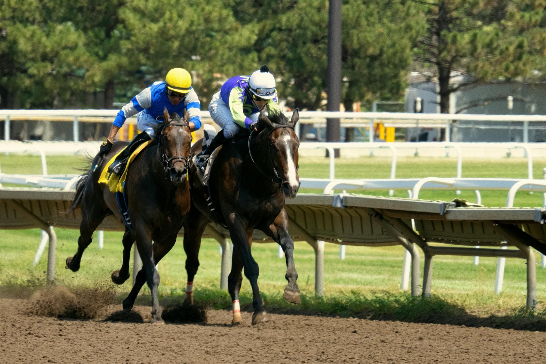 D'Angelo sends Bronze Bullet, Itza Lock into Paradise Creek Stakes