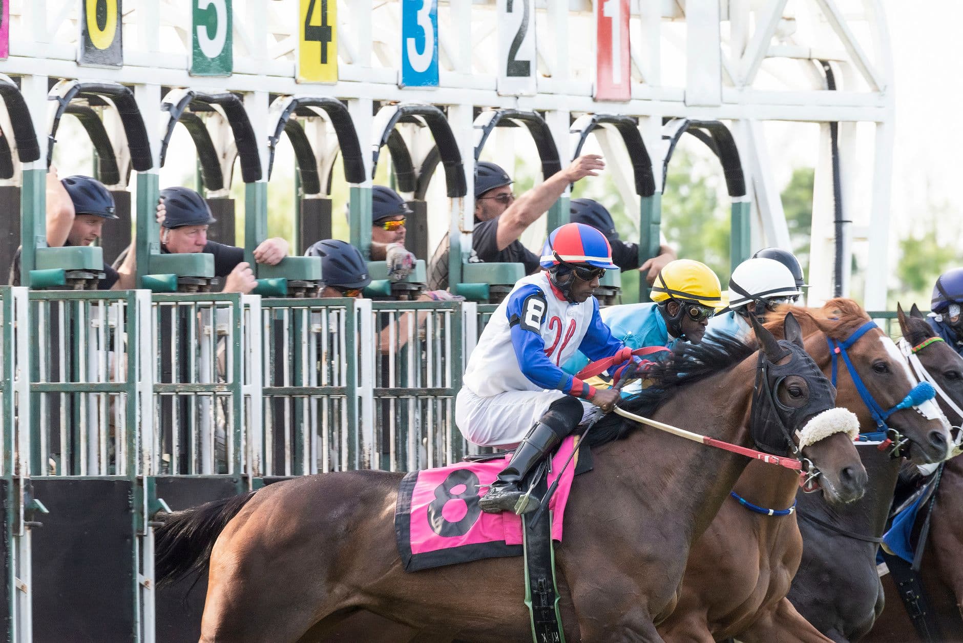 Midnight Still wins Saratoga maiden special weight at 1 1/8 miles