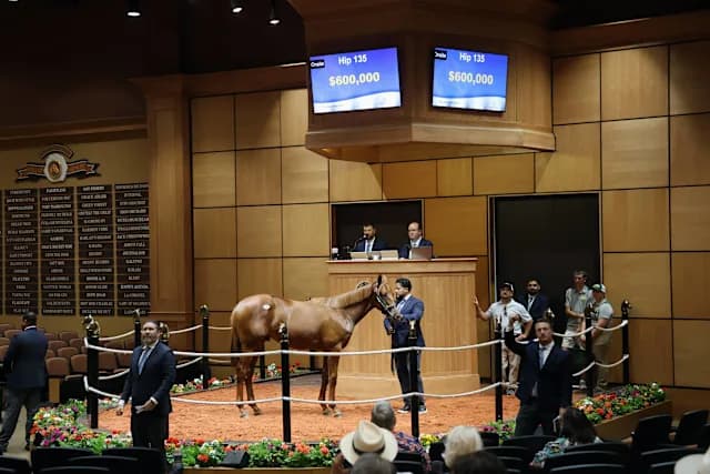 Taiba tops early first-crop sire averages at Fasig-Tipton July sale