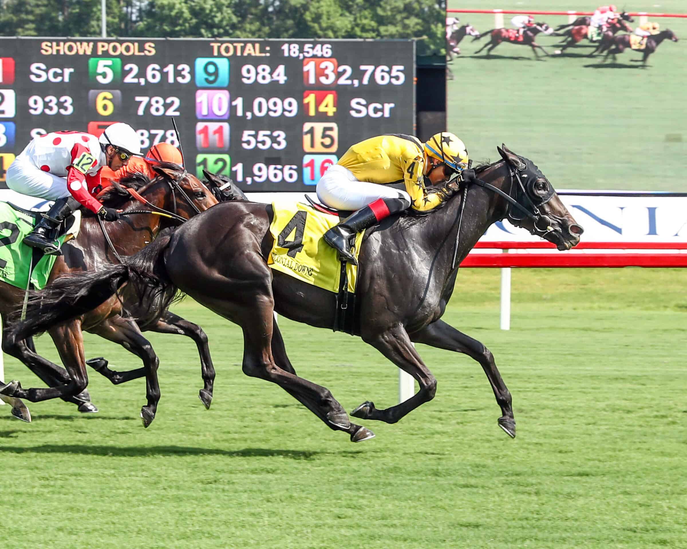 Creed’s Vision wins Colonial Downs allowance sprint on turf