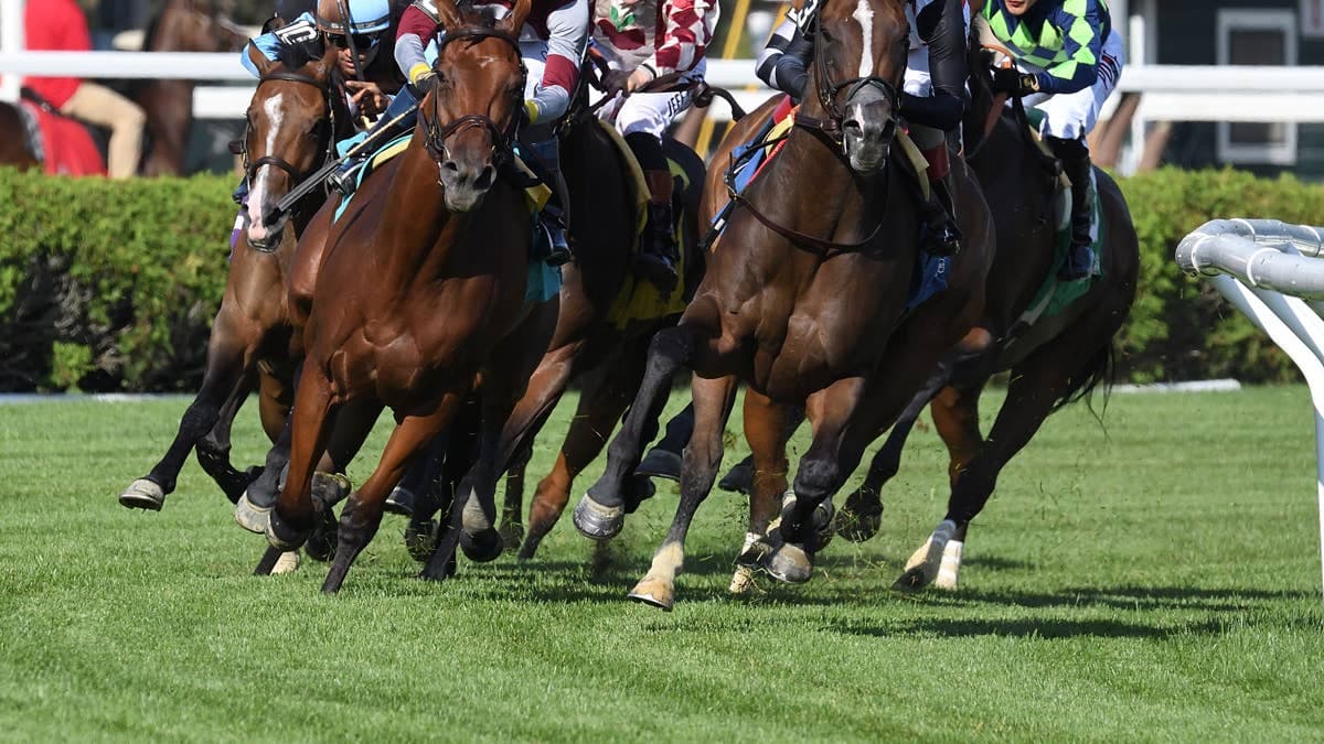 And One More Time wins De La Rose stakes at Saratoga