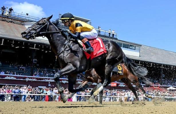 Johnny’s Red Storm, Ewing headline Saratoga turf sprint preview