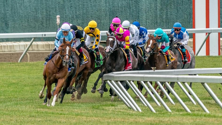 Program Trading wins United Nations Stakes at Monmouth Park
