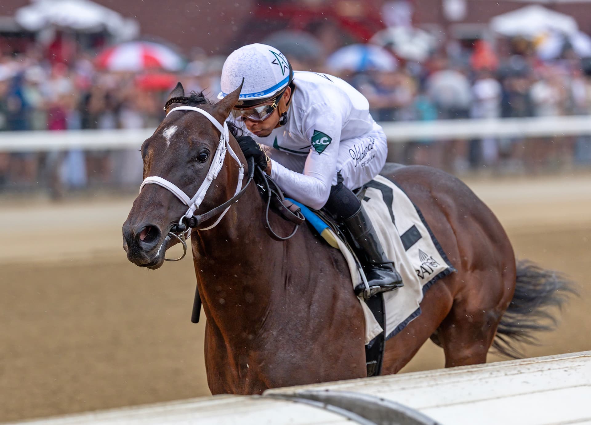 The Good Life wins Saratoga opener in maiden special weight run