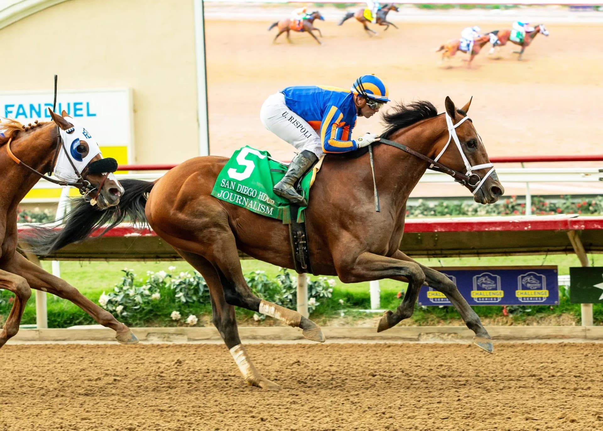 Journalism digs deep to win Del Mar’s San Diego Handicap