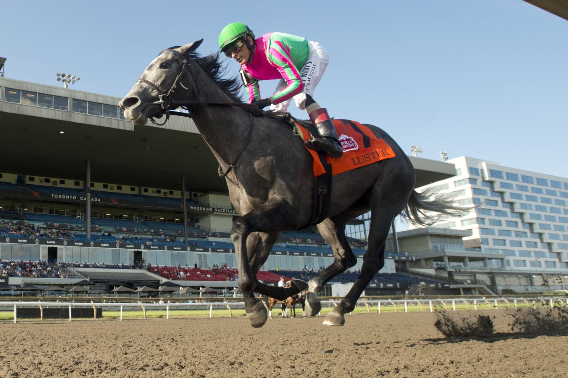 Luster wins Woodbine Oaks, claims prestigious Canadian filly crown