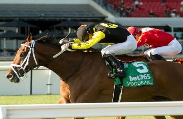 G T Five Hundred shocks Connaught Cup with 31-1 upset at Woodbine