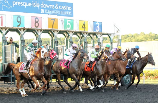 Austere wins allowance-optional claiming race at Presque Isle Downs