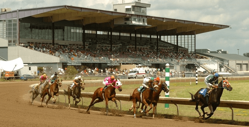 Mischievous Trick wins allowance race at Finger Lakes