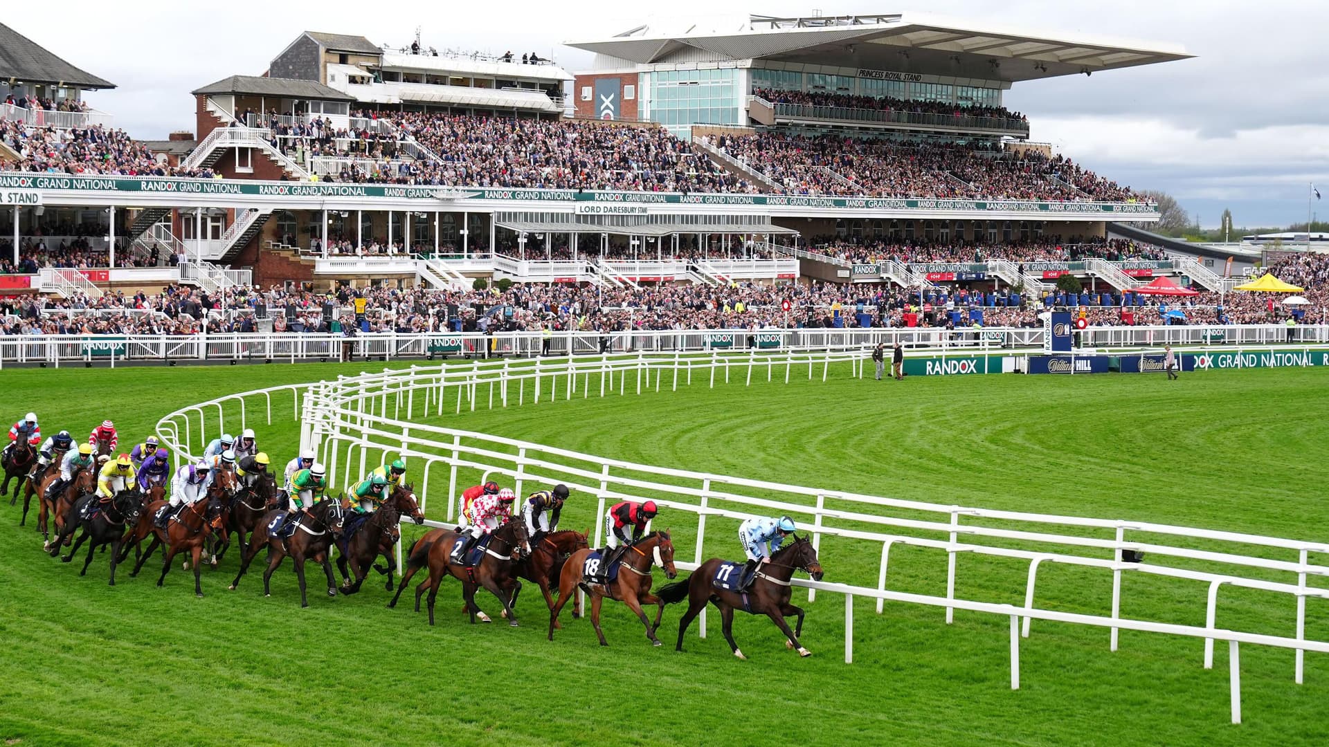 How steeplechase and hurdle racing differ in horse racing