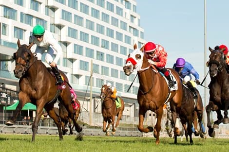Woodbine's E.P. Taylor Turf Course set to reopen Aug. 8