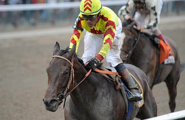 Prospect Watch highlights 29 well-bred first-time starters to watch