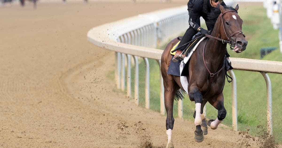 Snowyte wins Shuvee Stakes at Saratoga for Grade 2 breakthrough