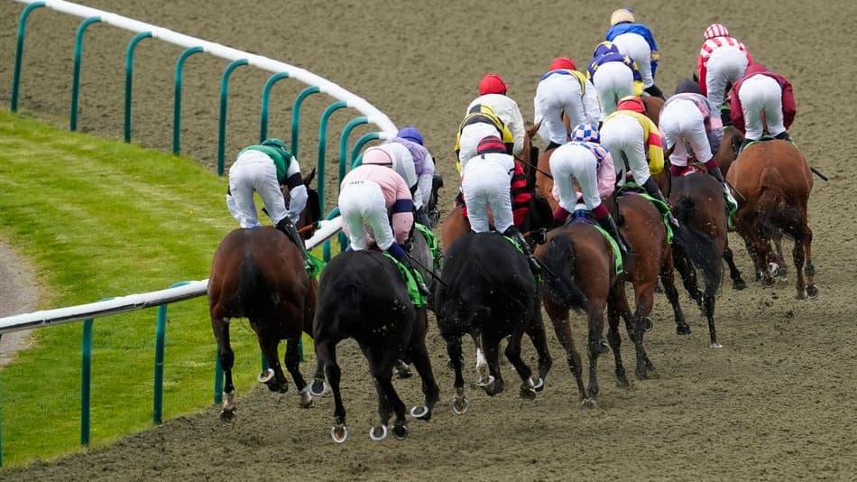 Owner considers quitting after Lingfield withdrawal blunder