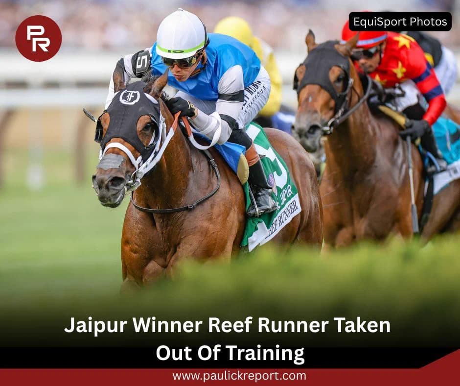 Reef Runner out for season after soft tissue injury