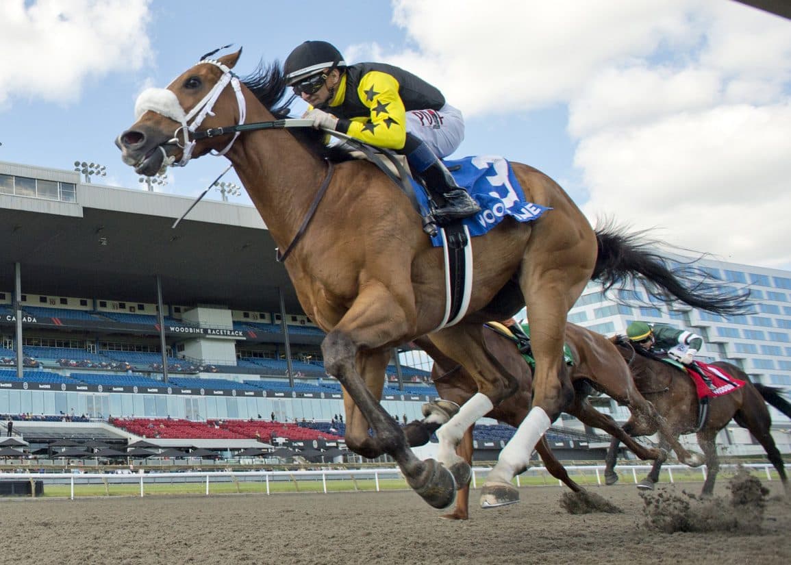 Highwaytothemoon wins Woodbine Plate Trial, points to Queen's Plate
