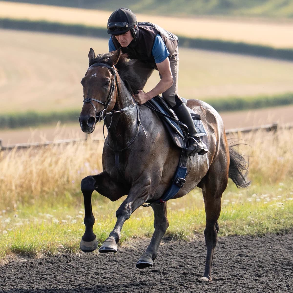 Constitution Hill set for Windsor August Stakes after gallops return