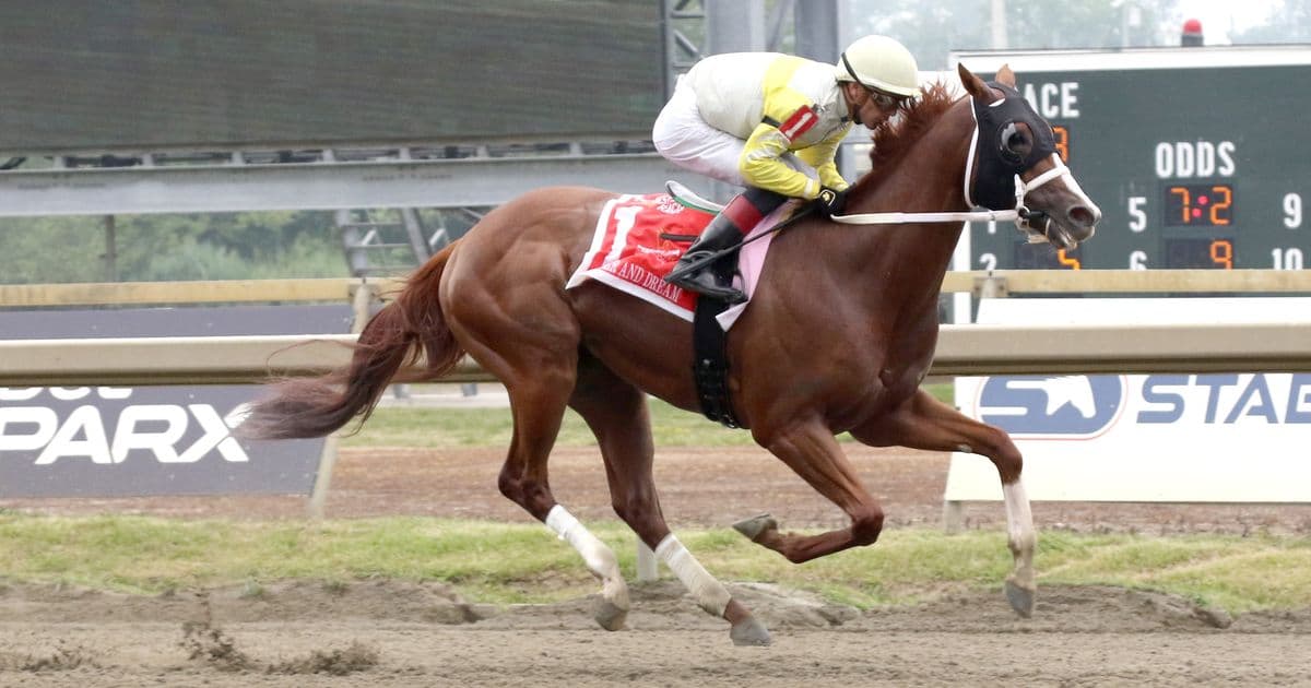 Reid splits stakes winners, Capuano skips Haskell with Big Cuddle