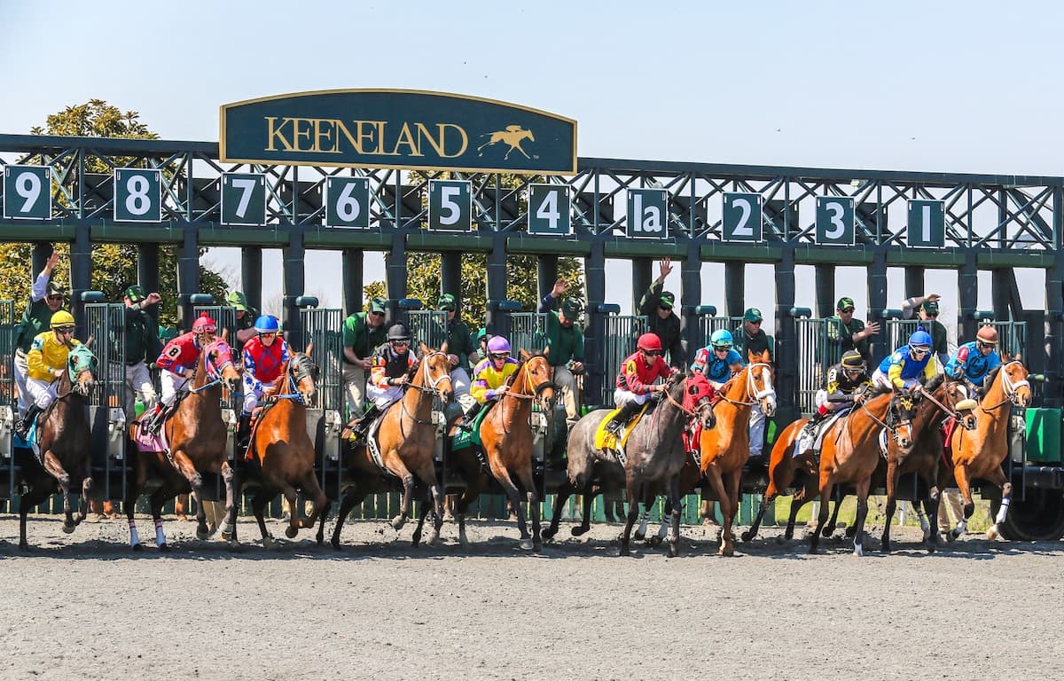 How racehorses learn the starting gate through early training