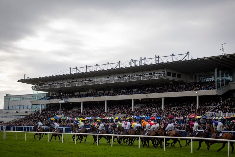 Horse Racing Ireland reports positive midyear gains in attendance and prize money