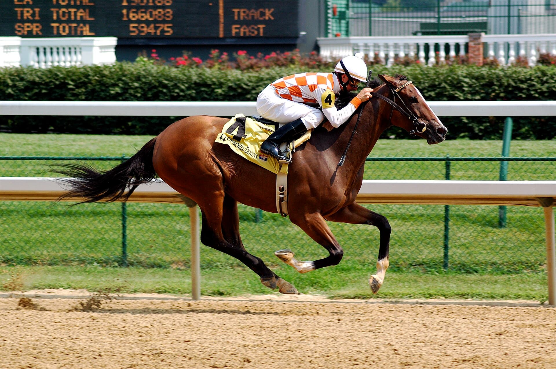 Brad Cox fields two Derby contenders in bid for first true Churchill Downs glory