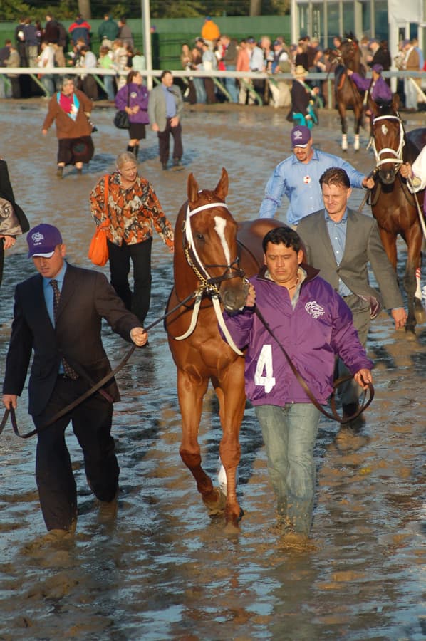 Curlin — Wikimedia Commons