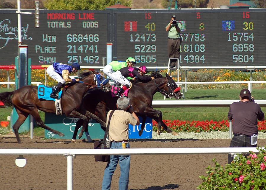 Hollywood Gold Cup — Wikimedia Commons