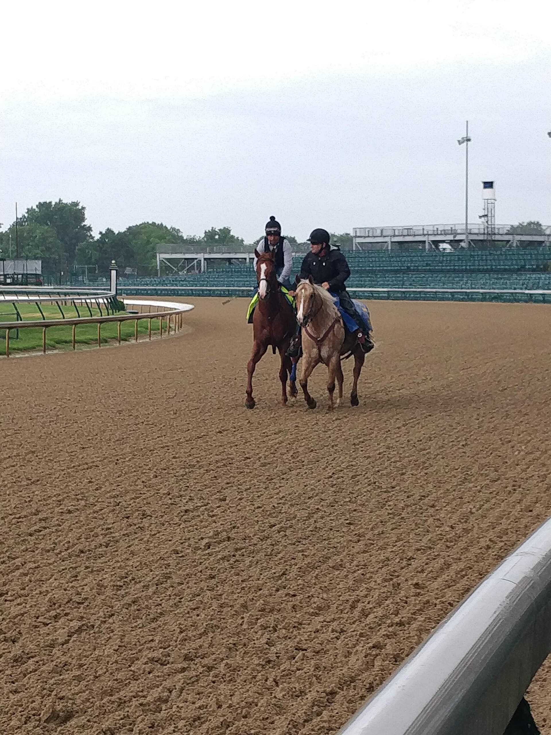 Brown still has a deep Belmont hand after Paladin's injury setback